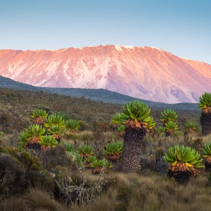 Kilimandjaro, Tanzanie