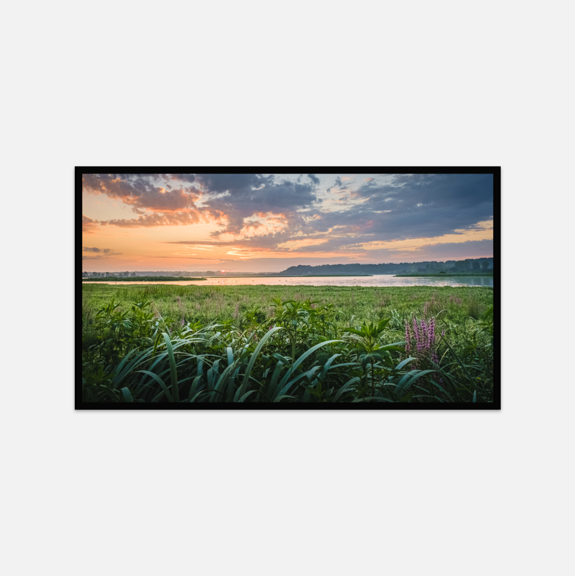 Marais d'Orx, Landes – Image 3
