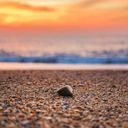 Zen, Anglet