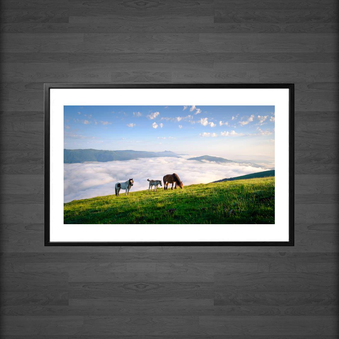 Pottoks, Pays Basque – Image 2